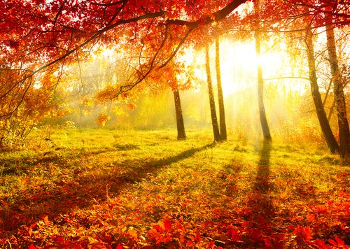 Fall